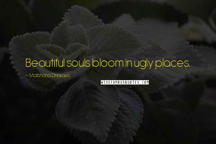 Matshona Dhliwayo Quotes: Beautiful souls bloom in ugly places.