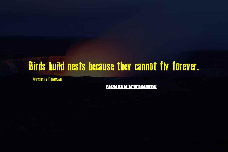 Matshona Dhliwayo Quotes: Birds build nests because they cannot fly forever.