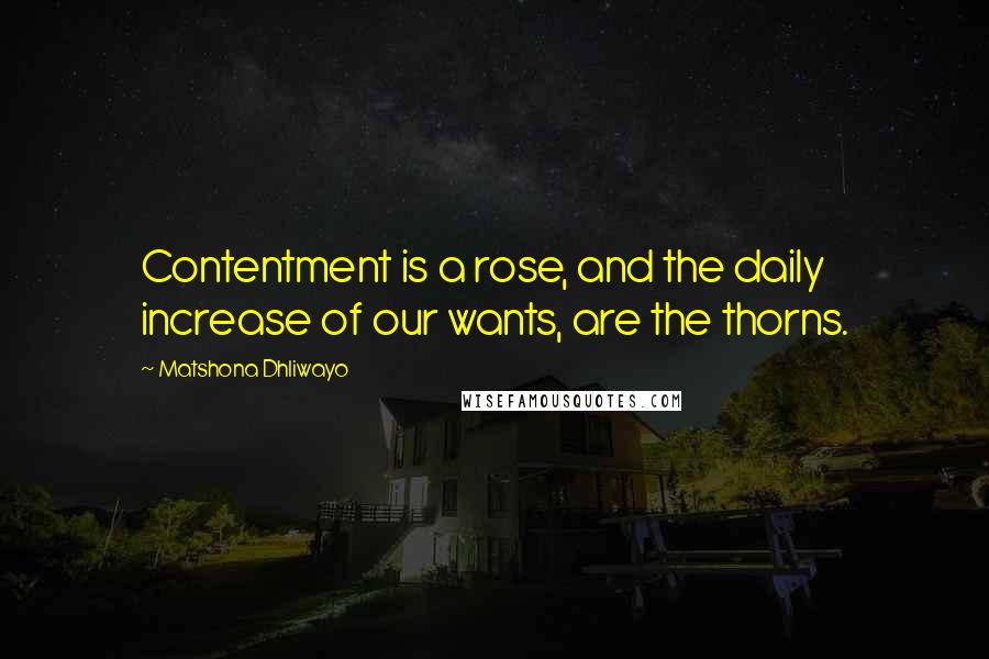 Matshona Dhliwayo Quotes: Contentment is a rose, and the daily increase of our wants, are the thorns.