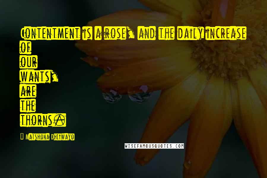 Matshona Dhliwayo Quotes: Contentment is a rose, and the daily increase of our wants, are the thorns.