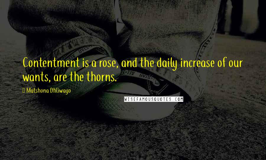 Matshona Dhliwayo Quotes: Contentment is a rose, and the daily increase of our wants, are the thorns.