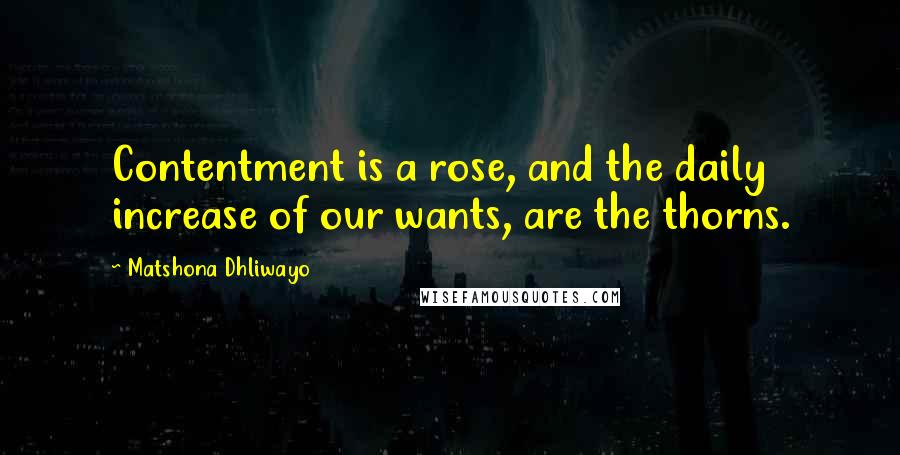 Matshona Dhliwayo Quotes: Contentment is a rose, and the daily increase of our wants, are the thorns.