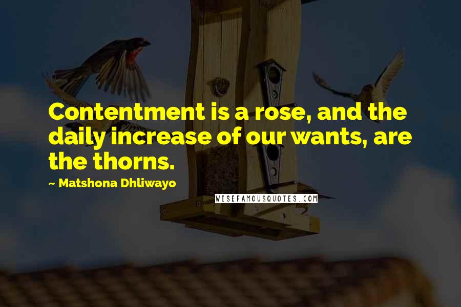 Matshona Dhliwayo Quotes: Contentment is a rose, and the daily increase of our wants, are the thorns.