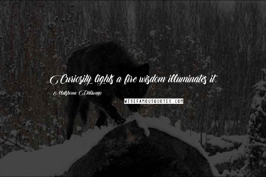 Matshona Dhliwayo Quotes: Curiosity lights a fire;wisdom illuminates it.