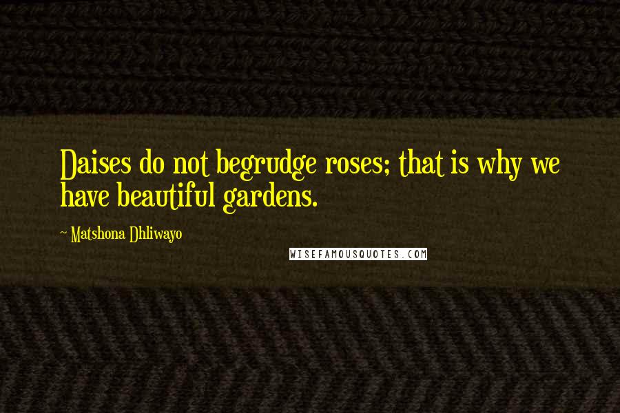 Matshona Dhliwayo Quotes: Daises do not begrudge roses; that is why we have beautiful gardens.