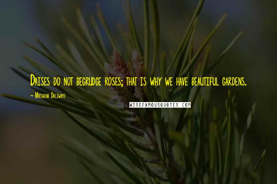 Matshona Dhliwayo Quotes: Daises do not begrudge roses; that is why we have beautiful gardens.