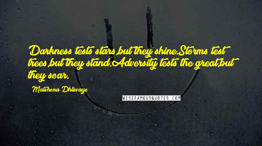 Matshona Dhliwayo Quotes: Darkness tests stars,but they shine.Storms test trees,but they stand.Adversity tests the great,but they soar.