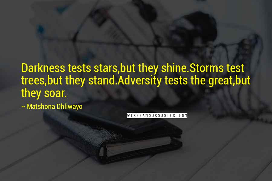 Matshona Dhliwayo Quotes: Darkness tests stars,but they shine.Storms test trees,but they stand.Adversity tests the great,but they soar.