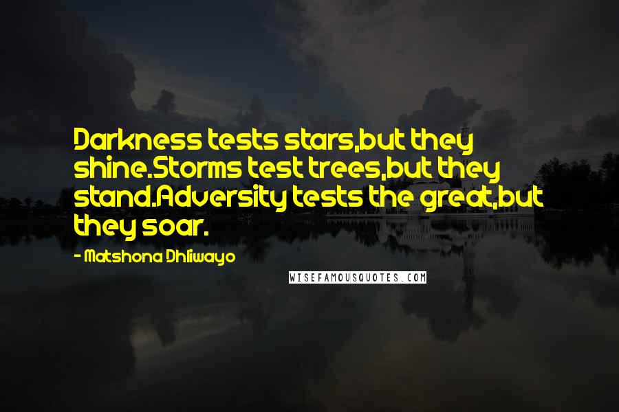 Matshona Dhliwayo Quotes: Darkness tests stars,but they shine.Storms test trees,but they stand.Adversity tests the great,but they soar.