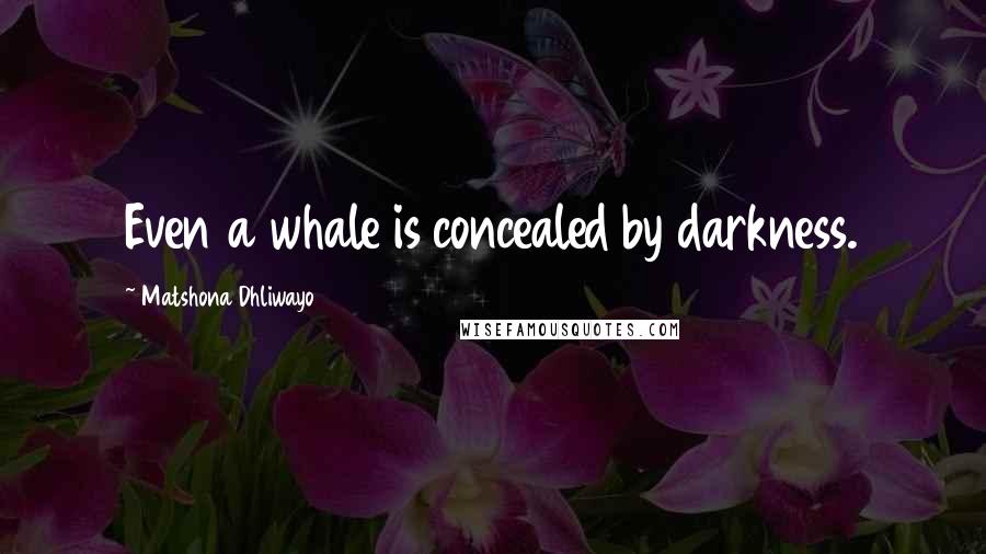 Matshona Dhliwayo Quotes: Even a whale is concealed by darkness.