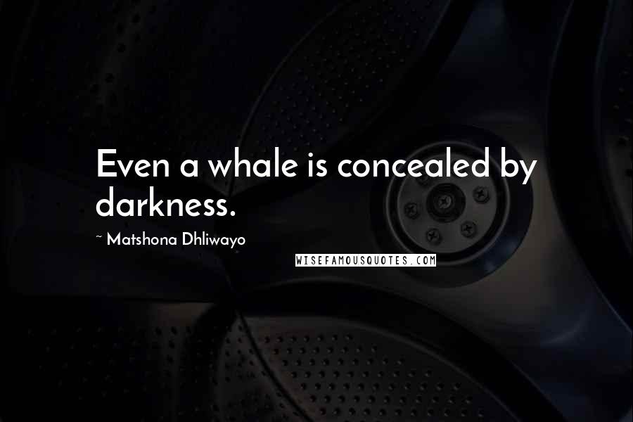 Matshona Dhliwayo Quotes: Even a whale is concealed by darkness.