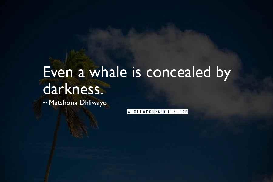 Matshona Dhliwayo Quotes: Even a whale is concealed by darkness.