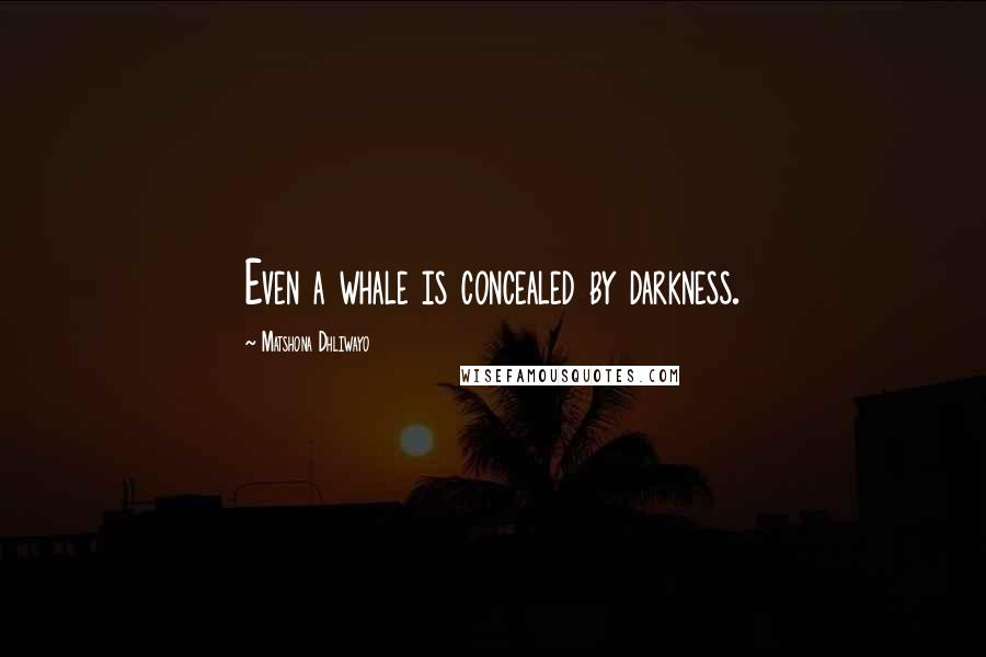 Matshona Dhliwayo Quotes: Even a whale is concealed by darkness.