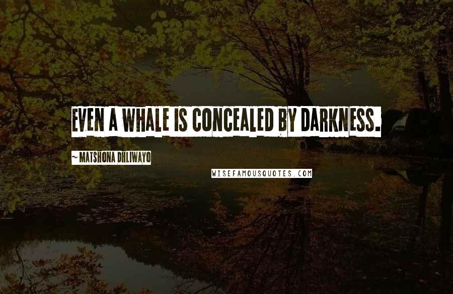 Matshona Dhliwayo Quotes: Even a whale is concealed by darkness.