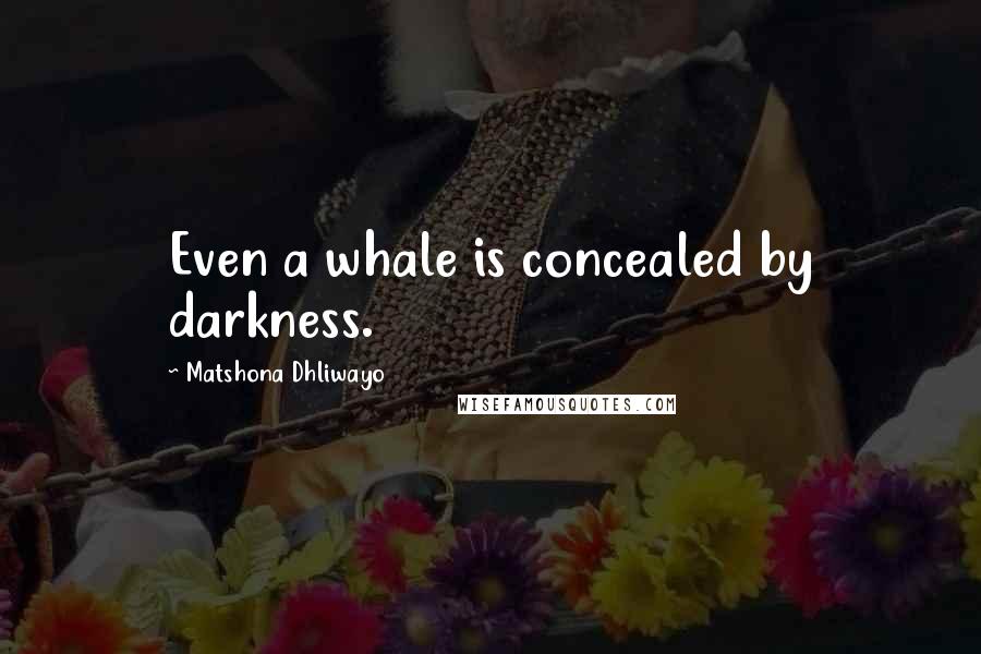 Matshona Dhliwayo Quotes: Even a whale is concealed by darkness.