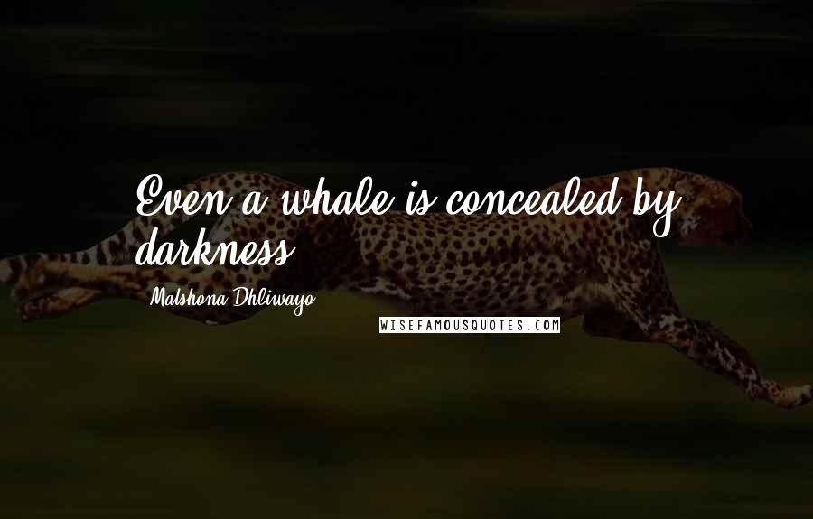 Matshona Dhliwayo Quotes: Even a whale is concealed by darkness.