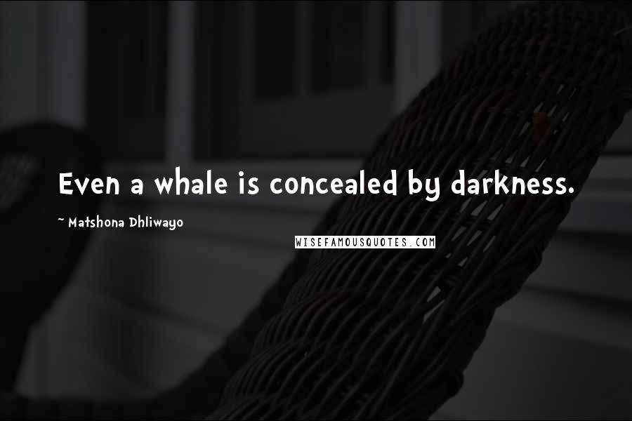 Matshona Dhliwayo Quotes: Even a whale is concealed by darkness.