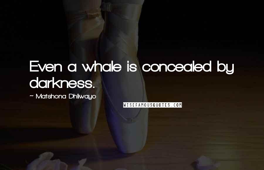 Matshona Dhliwayo Quotes: Even a whale is concealed by darkness.