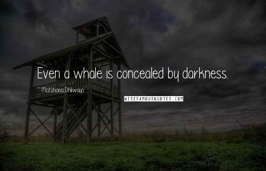 Matshona Dhliwayo Quotes: Even a whale is concealed by darkness.