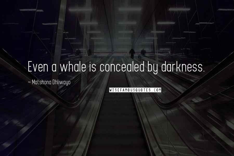 Matshona Dhliwayo Quotes: Even a whale is concealed by darkness.