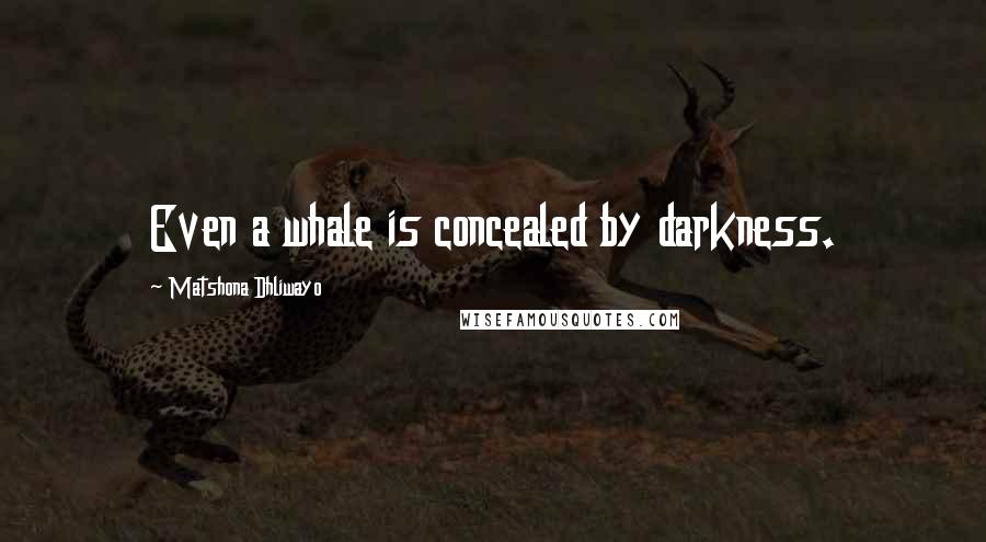 Matshona Dhliwayo Quotes: Even a whale is concealed by darkness.