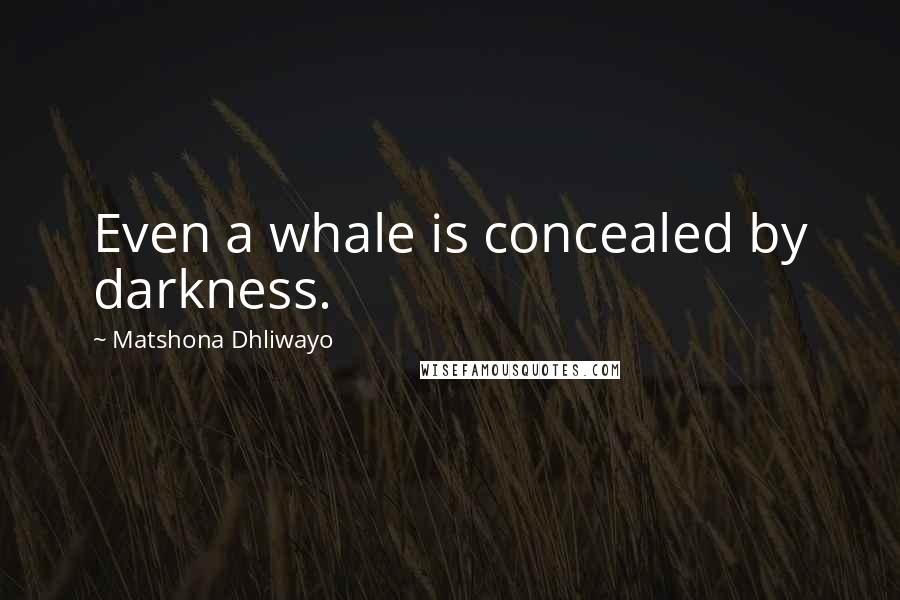 Matshona Dhliwayo Quotes: Even a whale is concealed by darkness.