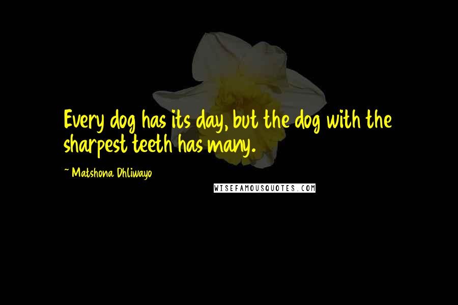 Matshona Dhliwayo Quotes: Every dog has its day, but the dog with the sharpest teeth has many.