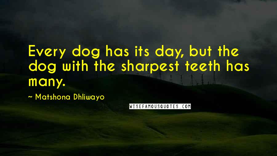 Matshona Dhliwayo Quotes: Every dog has its day, but the dog with the sharpest teeth has many.