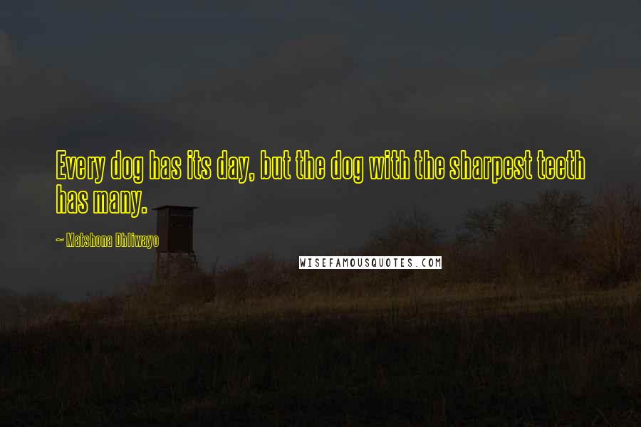 Matshona Dhliwayo Quotes: Every dog has its day, but the dog with the sharpest teeth has many.