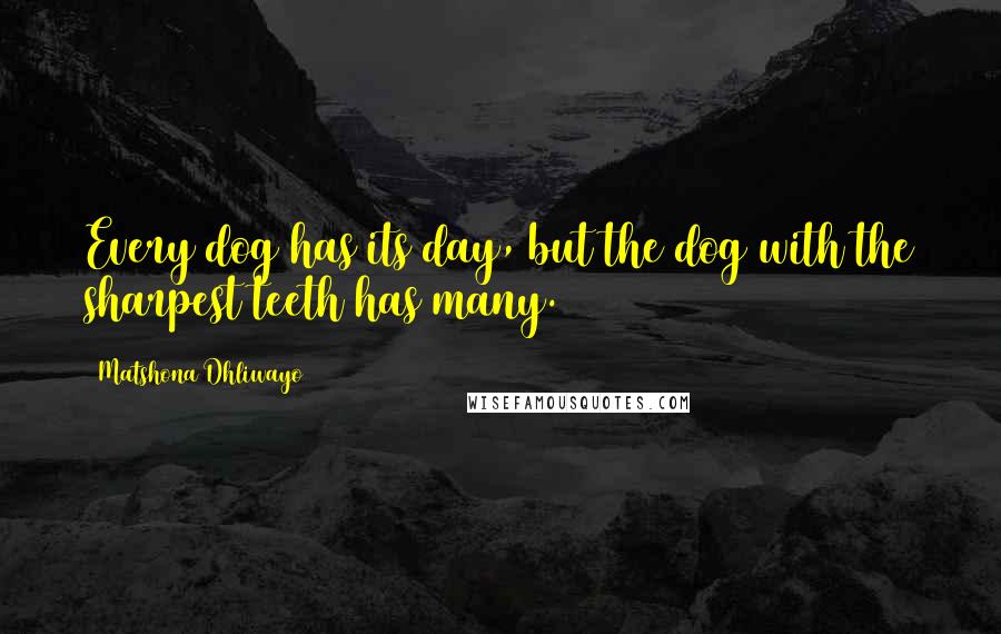 Matshona Dhliwayo Quotes: Every dog has its day, but the dog with the sharpest teeth has many.
