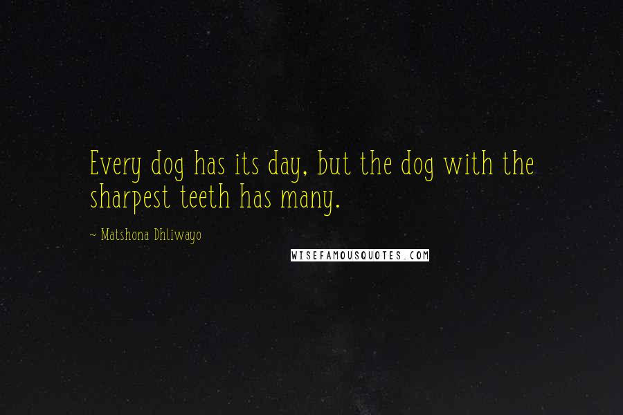 Matshona Dhliwayo Quotes: Every dog has its day, but the dog with the sharpest teeth has many.