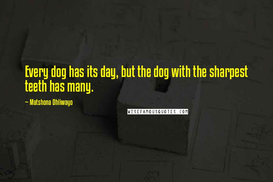 Matshona Dhliwayo Quotes: Every dog has its day, but the dog with the sharpest teeth has many.