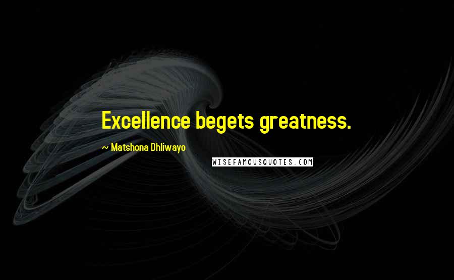 Matshona Dhliwayo Quotes: Excellence begets greatness.