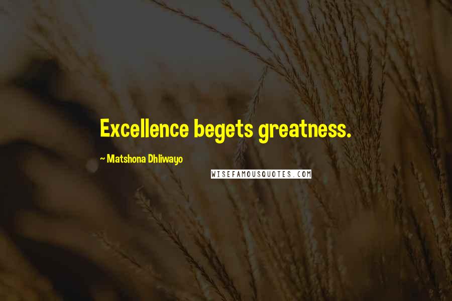 Matshona Dhliwayo Quotes: Excellence begets greatness.