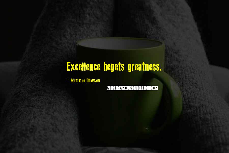 Matshona Dhliwayo Quotes: Excellence begets greatness.