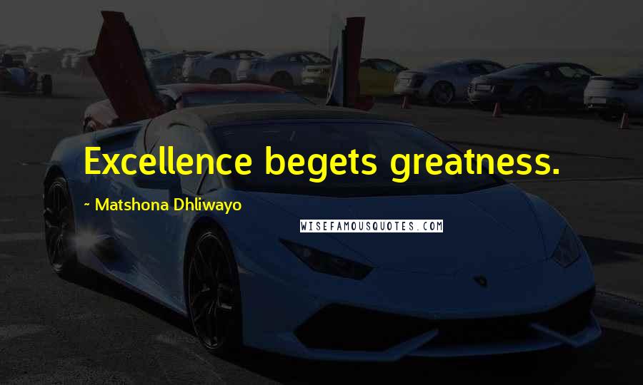 Matshona Dhliwayo Quotes: Excellence begets greatness.