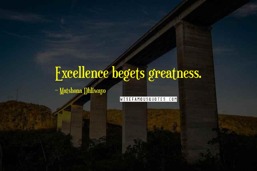 Matshona Dhliwayo Quotes: Excellence begets greatness.