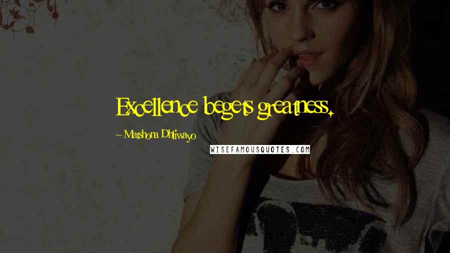 Matshona Dhliwayo Quotes: Excellence begets greatness.