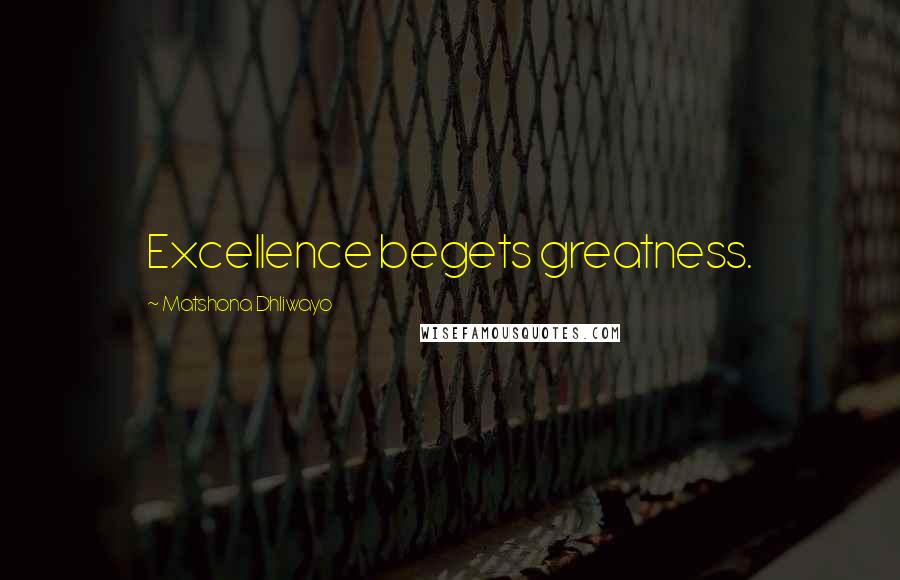 Matshona Dhliwayo Quotes: Excellence begets greatness.