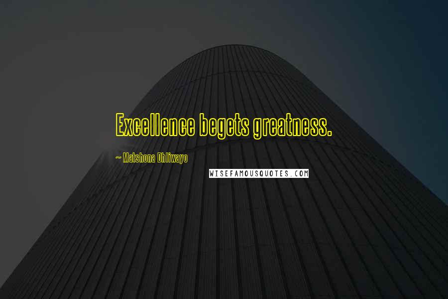 Matshona Dhliwayo Quotes: Excellence begets greatness.