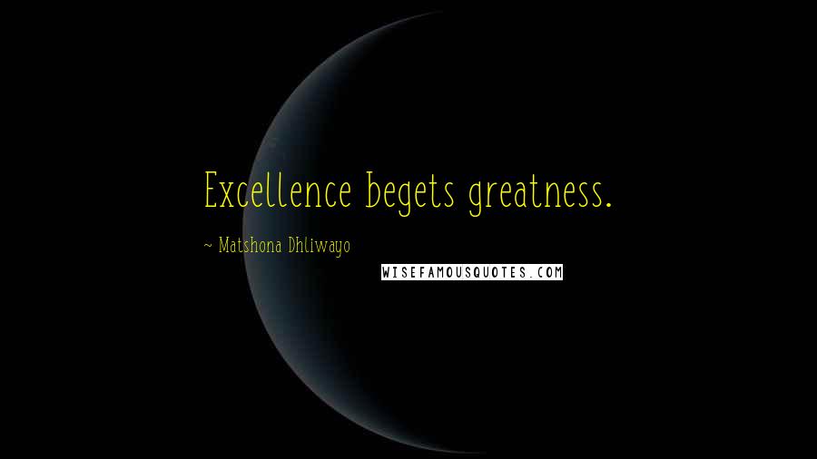 Matshona Dhliwayo Quotes: Excellence begets greatness.