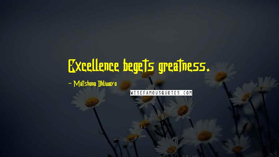 Matshona Dhliwayo Quotes: Excellence begets greatness.