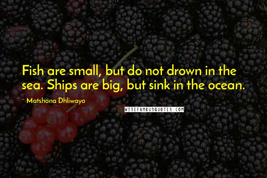 Matshona Dhliwayo Quotes: Fish are small, but do not drown in the sea. Ships are big, but sink in the ocean.