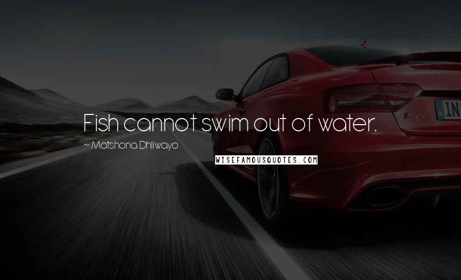 Matshona Dhliwayo Quotes: Fish cannot swim out of water.