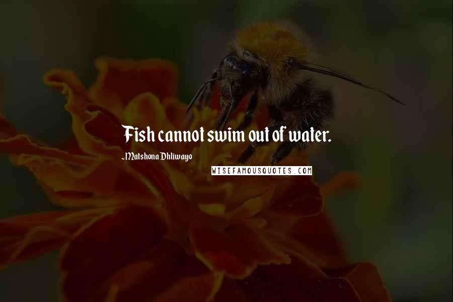 Matshona Dhliwayo Quotes: Fish cannot swim out of water.