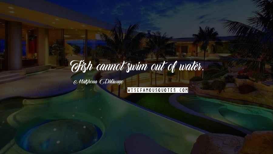 Matshona Dhliwayo Quotes: Fish cannot swim out of water.