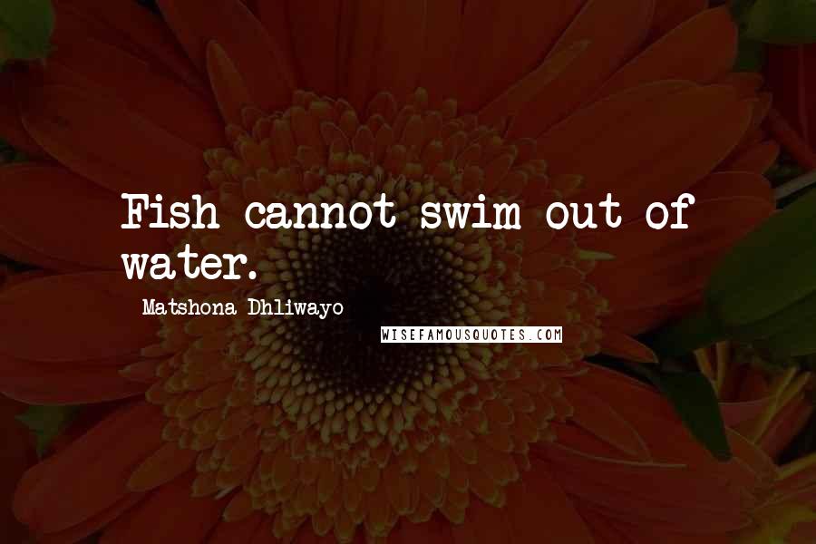 Matshona Dhliwayo Quotes: Fish cannot swim out of water.