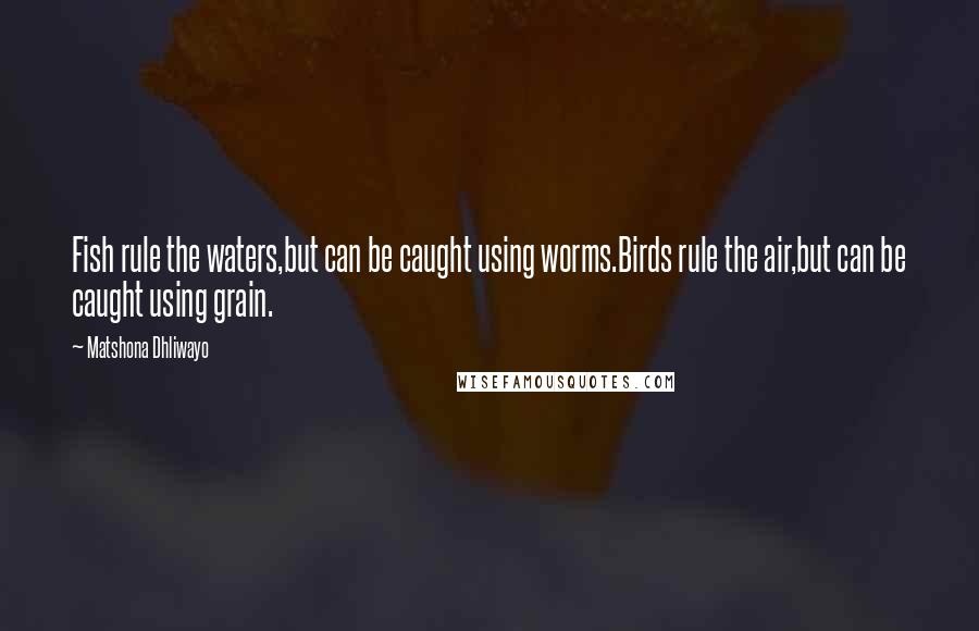 Matshona Dhliwayo Quotes: Fish rule the waters,but can be caught using worms.Birds rule the air,but can be caught using grain.