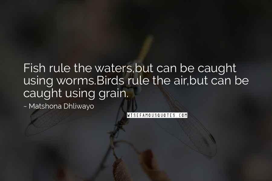 Matshona Dhliwayo Quotes: Fish rule the waters,but can be caught using worms.Birds rule the air,but can be caught using grain.