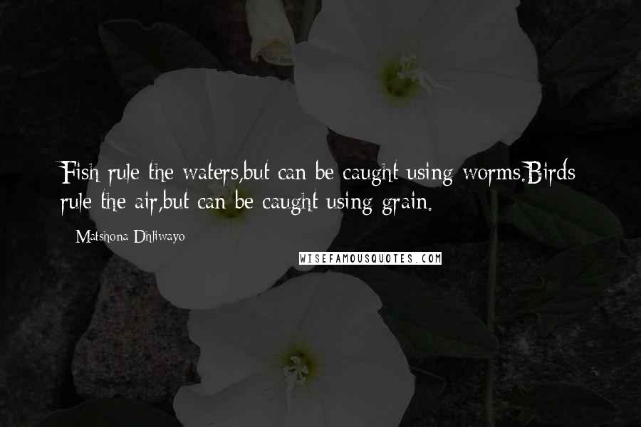 Matshona Dhliwayo Quotes: Fish rule the waters,but can be caught using worms.Birds rule the air,but can be caught using grain.